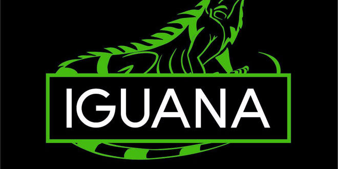 iguana-kharkov купить тротуарную плитку цена
